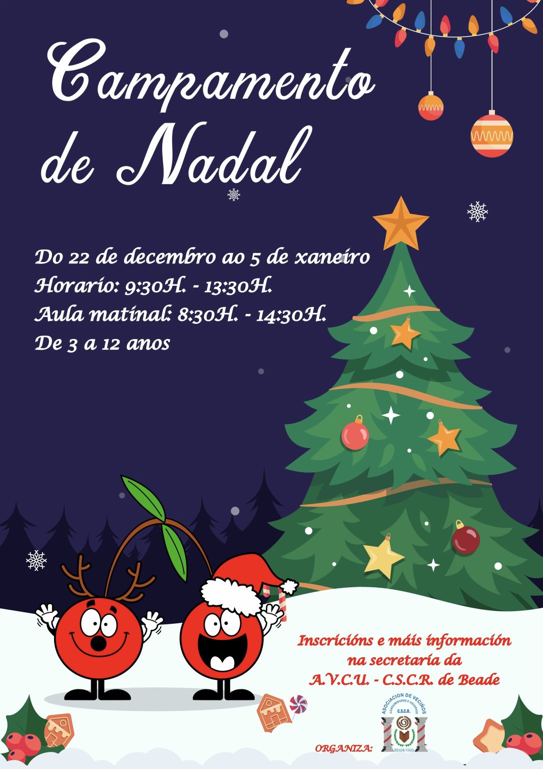 Campamento de Nadal 2023/2024