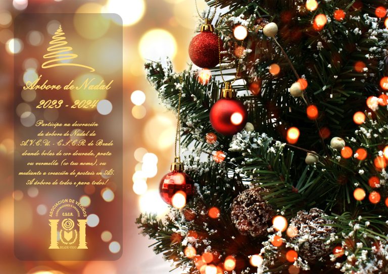 Árbore de Nadal 2023/2024